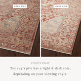 Loloi Sonnet Spice / Multi Area Rug White Cliff Studio Area Rug