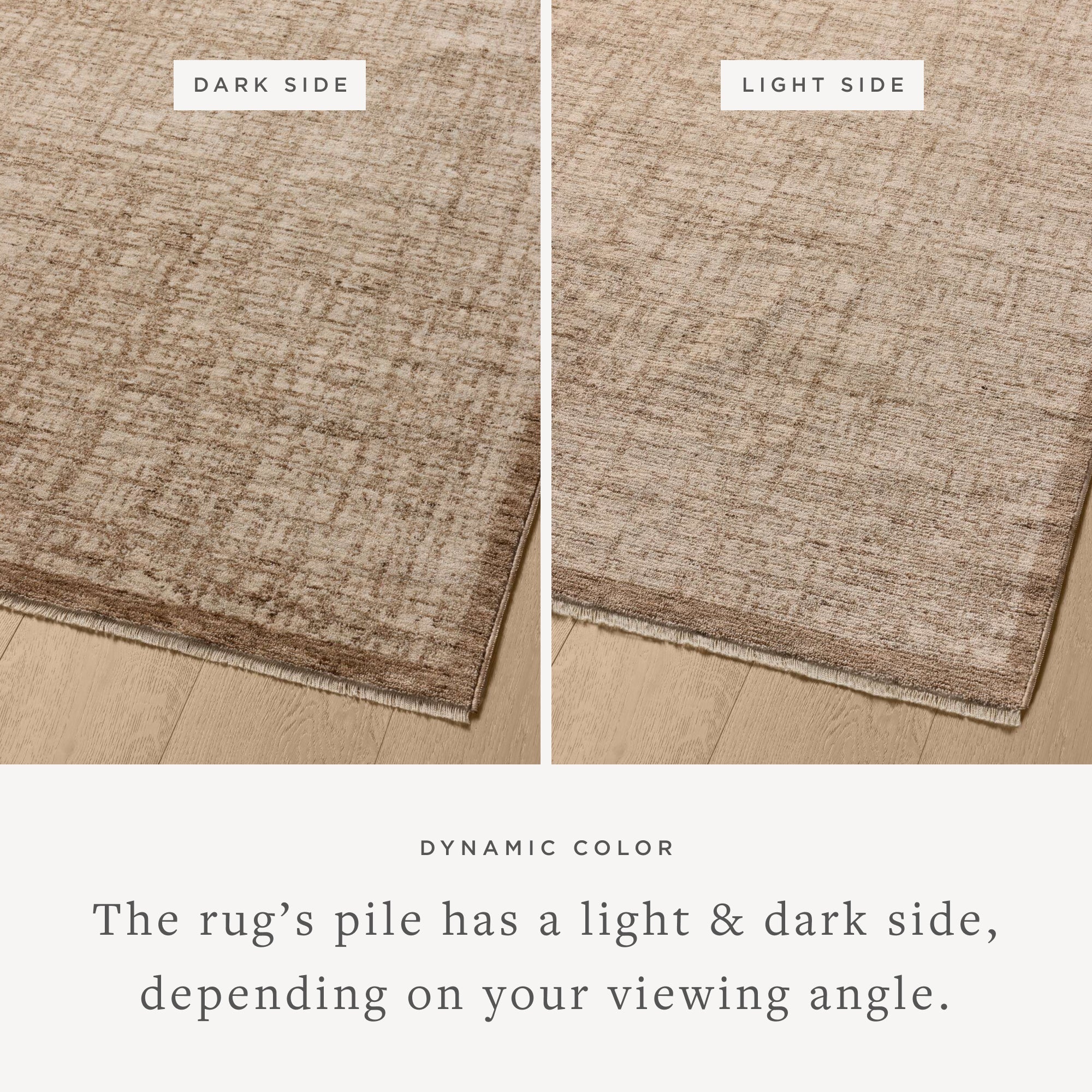 Loloi Winston Earth / Bone Area Rug White Cliff Studio Area Rug
