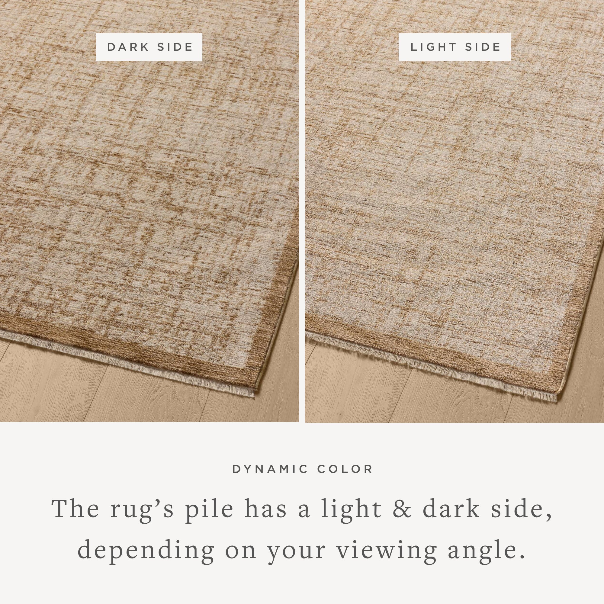 Loloi Winston Spice / Bone Area Rug White Cliff Studio Area Rug