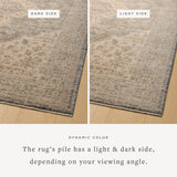 Magnolia Home by Joanna Gaines x Loloi Junie Denim / Natural 11' - 6" x 15' - 7" Area Rug White Cliff Studio Area Rugs