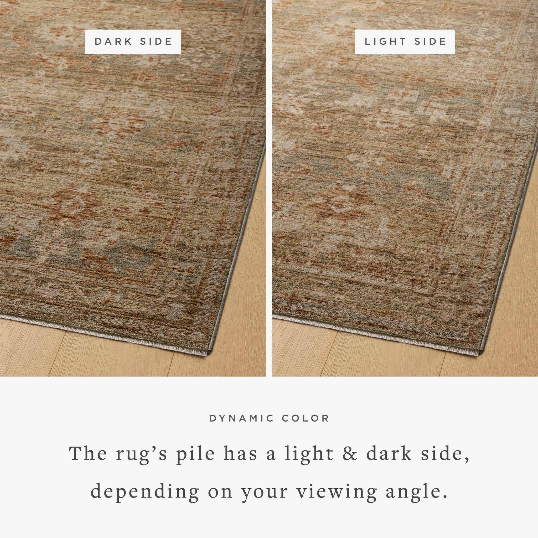Magnolia Home by Joanna Gaines x Loloi Junie Spice / Multi 11' - 6" x 15' - 7" Area Rug White Cliff Studio Area Rugs