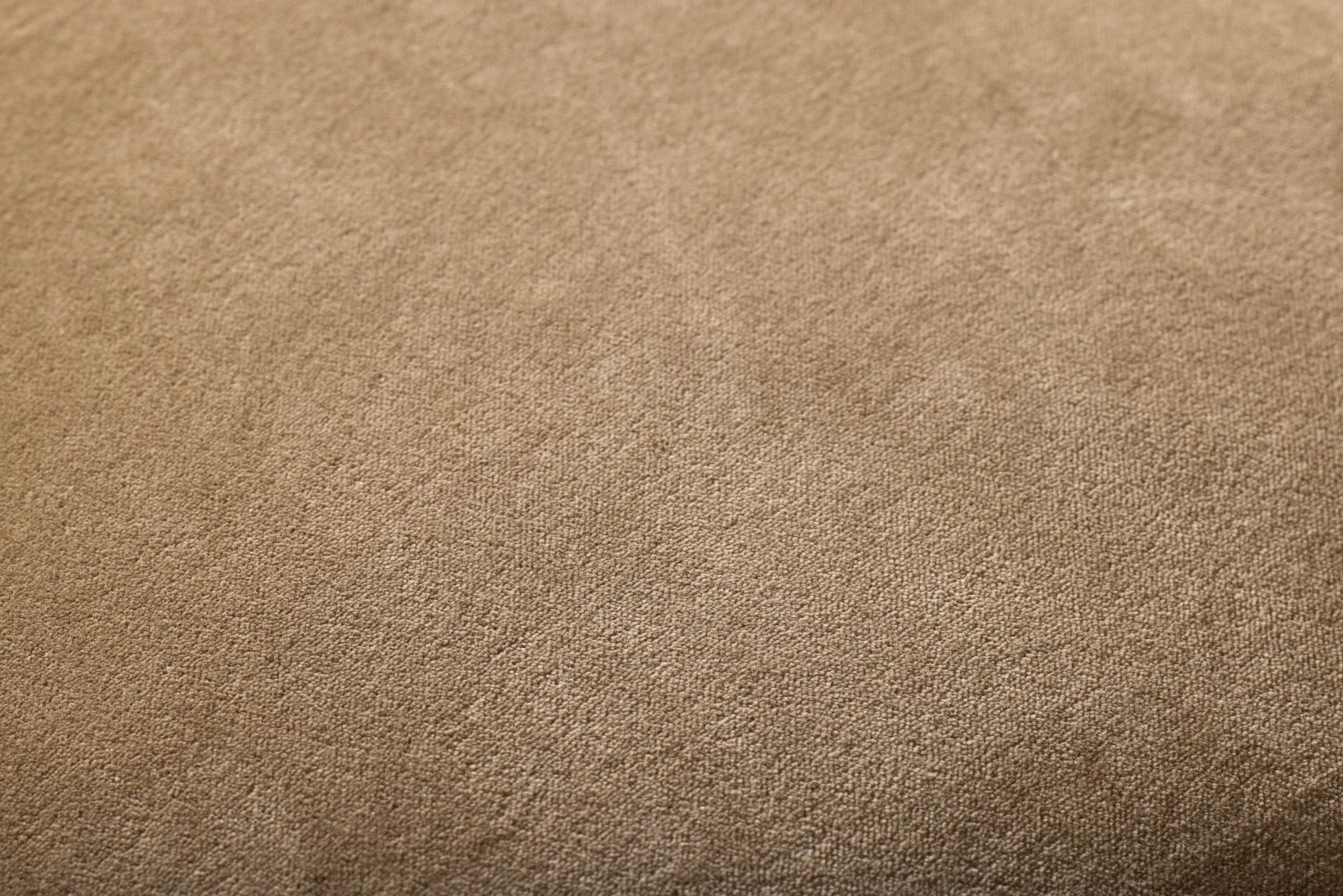 Magnolia Home by Joanna Gaines x Loloi Lydia Latte 18'' x 18'' Pillow Cover Only White Cliff Studio Throw Pillows