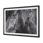 Mustang by Nathan Larson a Hand Embellished Framed Art Print Matted under Glass