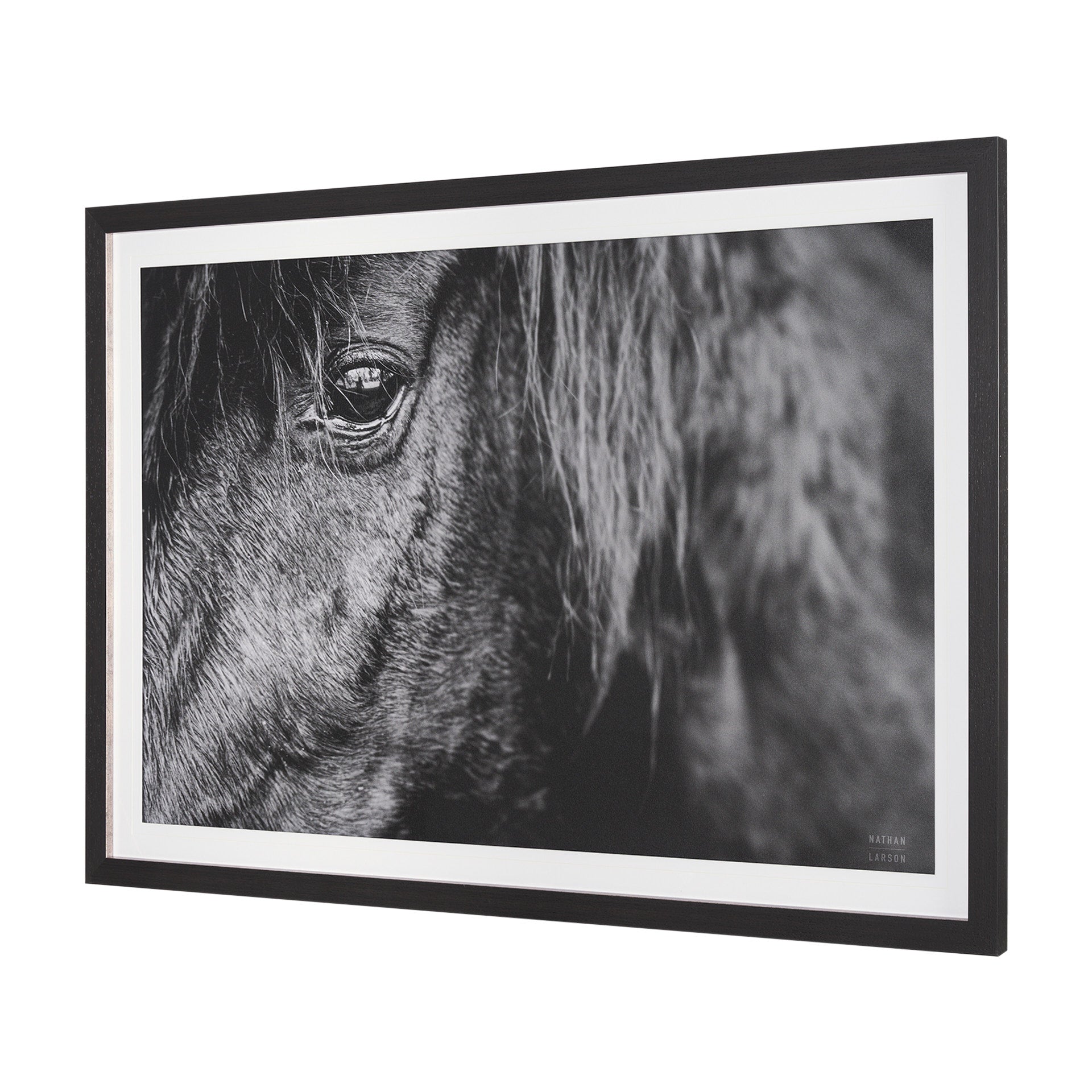 Mustang by Nathan Larson a Hand Embellished Framed Art Print Matted under Glass
