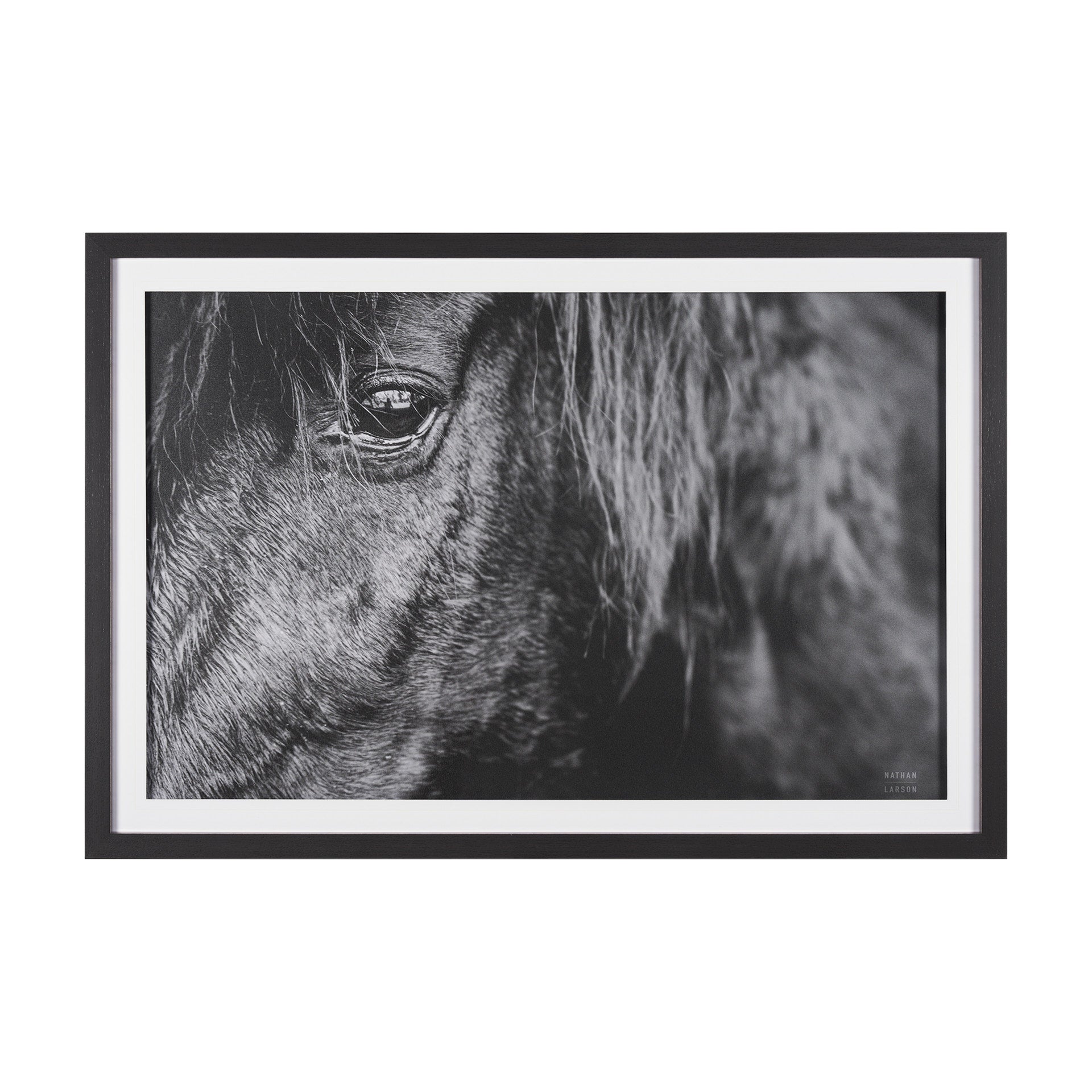 Mustang by Nathan Larson a Hand Embellished Framed Art Print Matted under Glass