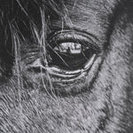 Mustang by Nathan Larson a Hand Embellished Framed Art Print Matted under Glass