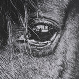 Mustang by Nathan Larson a Hand Embellished Framed Art Print Matted under Glass