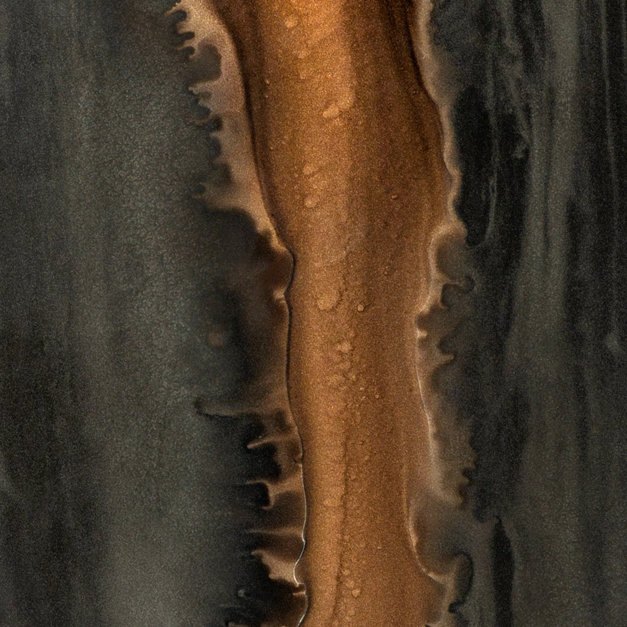 Organic valet tray - glass - Bronze - rectangular - L White Cliff Studio Trays