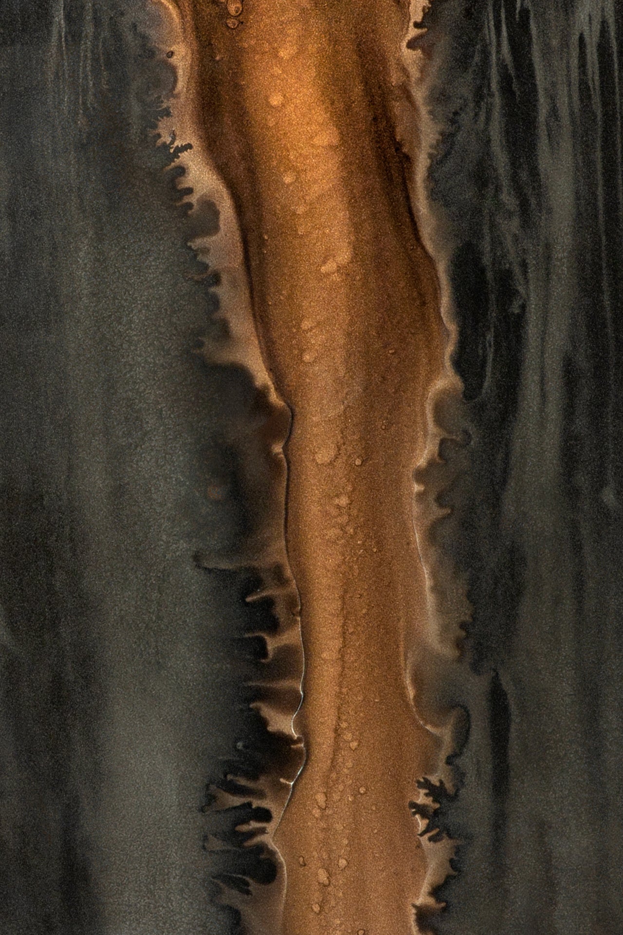 Organic valet tray - glass - Bronze - rectangular - L White Cliff Studio Trays