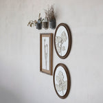 Oval Framed Plaster Leaf Wall Decor, Set of 2 White Cliff Studio Wall Decor & Art