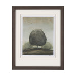 Park View II Framed Wall Art