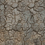 Pentagon console - varnished Minerals - Lava Whisky White Cliff Studio Console Table