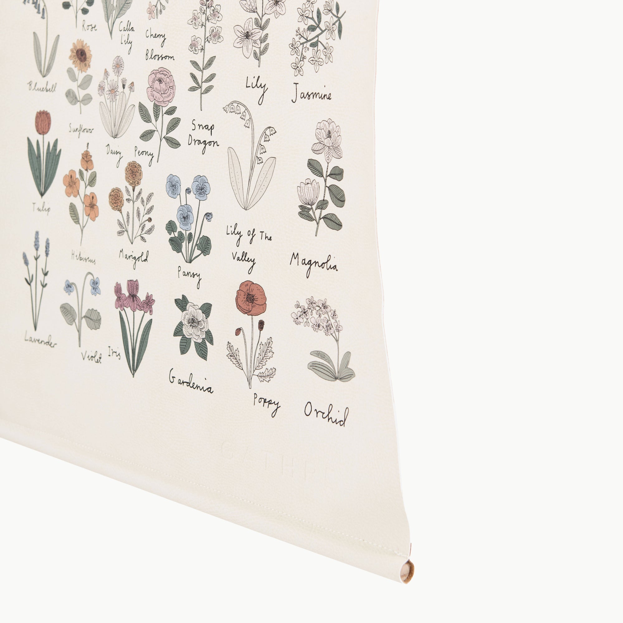 Poster White Cliff Studio