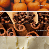 Pumpkin Spice Clear Reed Diffuser White Cliff Studio Reed Diffusers