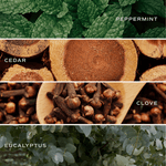 Relaxation Clear Reed Diffuser White Cliff Studio Reed Diffusers