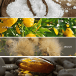 Salt and Sea Amber Reed Diffuser White Cliff Studio Reed Diffusers