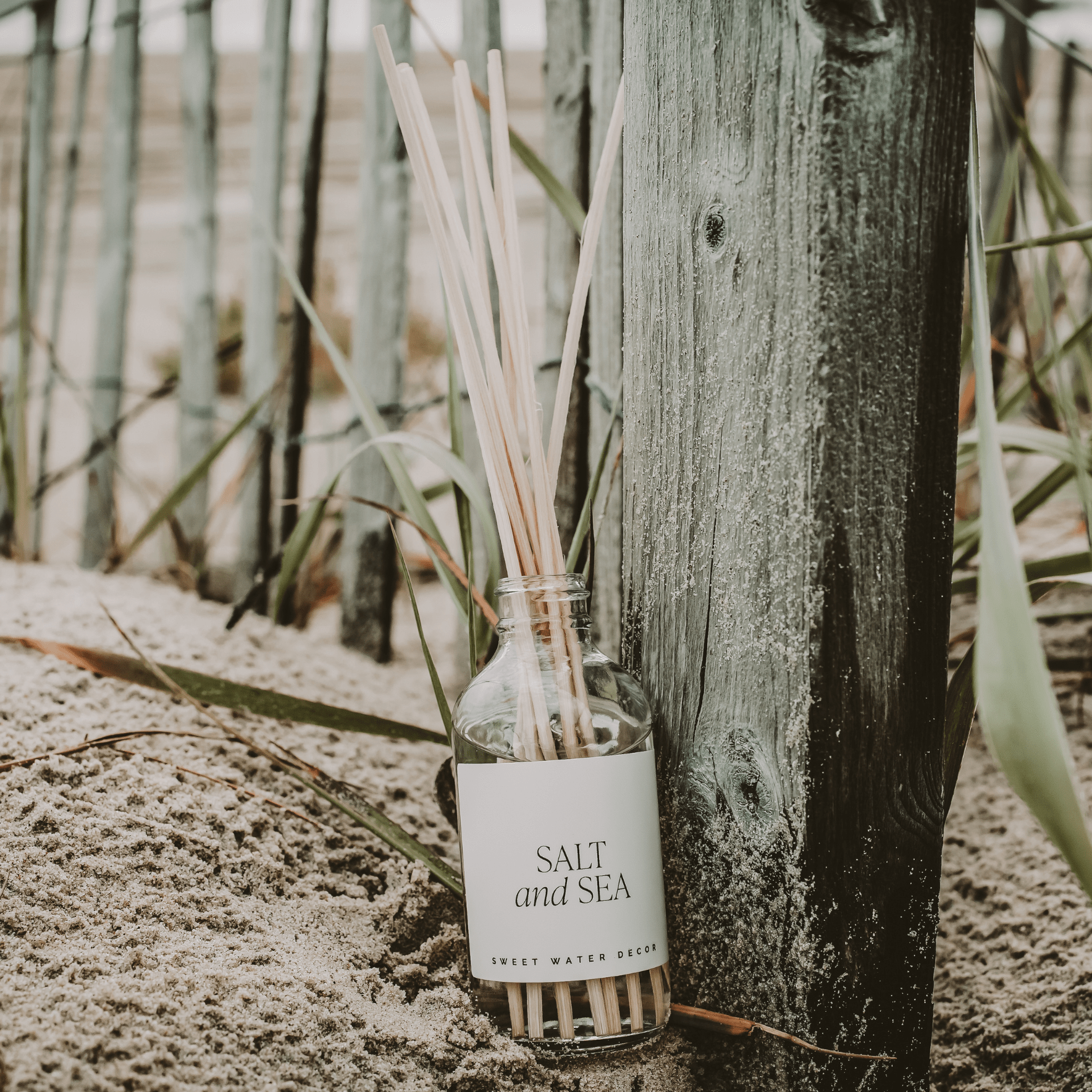 Salt and Sea Clear Reed Diffuser White Cliff Studio Reed Diffusers