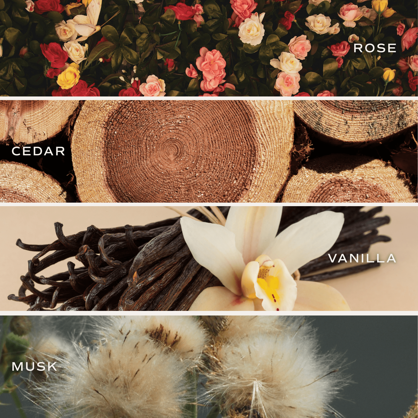 Sandalwood Rose Clear Reed Diffuser White Cliff Studio Reed Diffusers