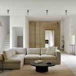 Slice coffee table - varnished Minerals - Ray Whisky - oval White Cliff Studio COFFEE TABLE