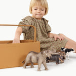 Small Caddy White Cliff Studio