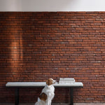 Stability bench - Natural fabric White Cliff Studio Bench / Dining Bench