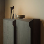 Stairs cupboard - varnished oak - brown - 2 doors White Cliff Studio Cab inet