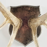 Stanton Wall Antlers