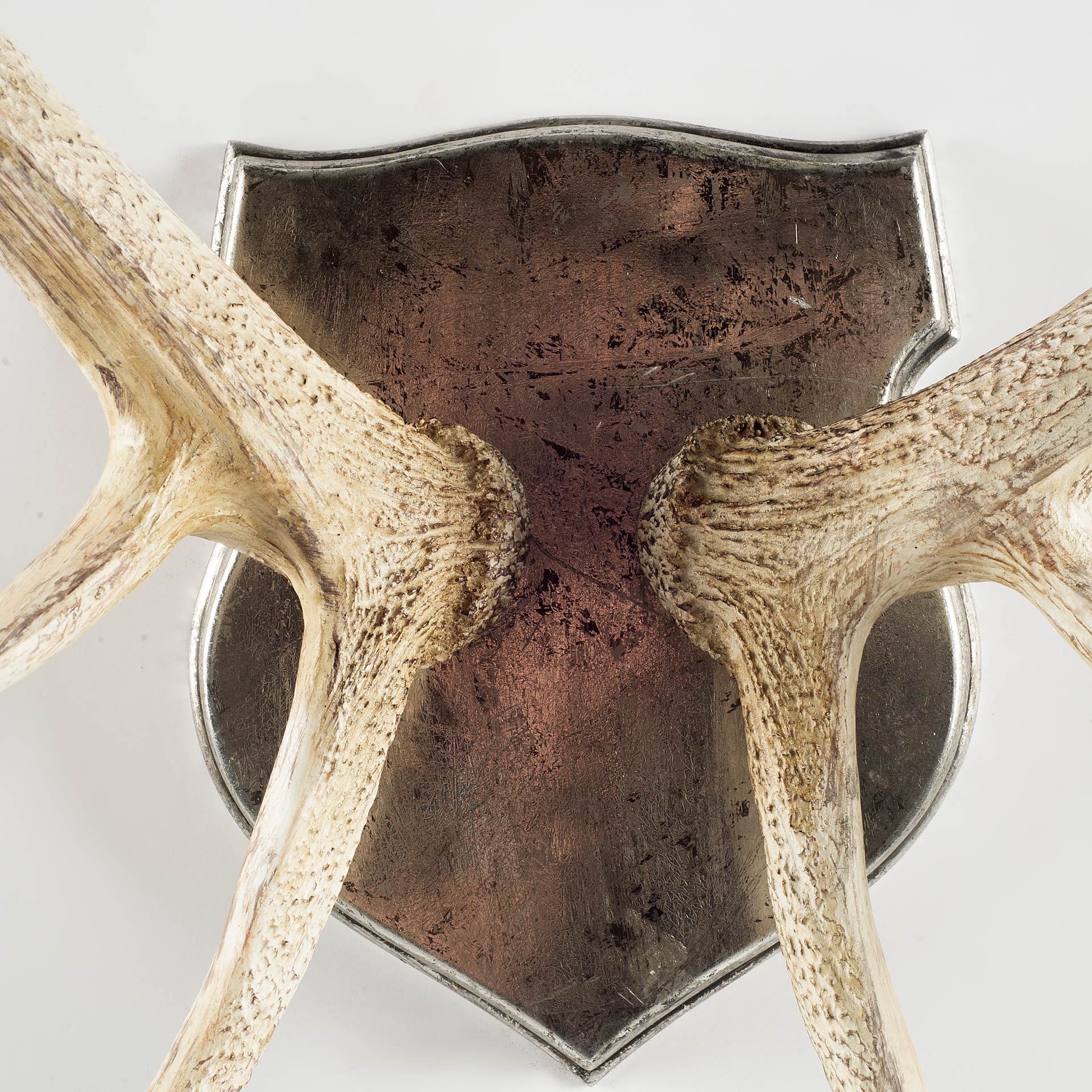 Stanton Wall Antlers