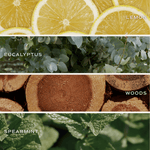 Stress Relief Clear Reed Diffuser White Cliff Studio Reed Diffusers