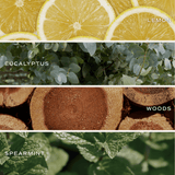 Stress Relief Clear Reed Diffuser White Cliff Studio Reed Diffusers