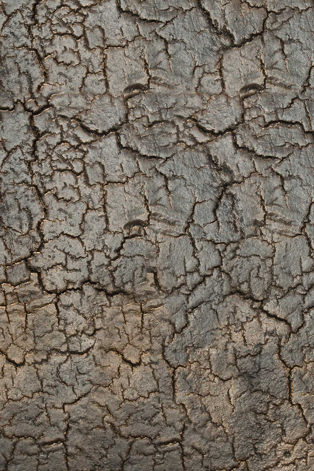 Triptic side table - varnished Minerals - Lava Whisky - rectangular White Cliff Studio Side Table