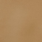 Tumbling Mat White Cliff Studio Tumbling Mat