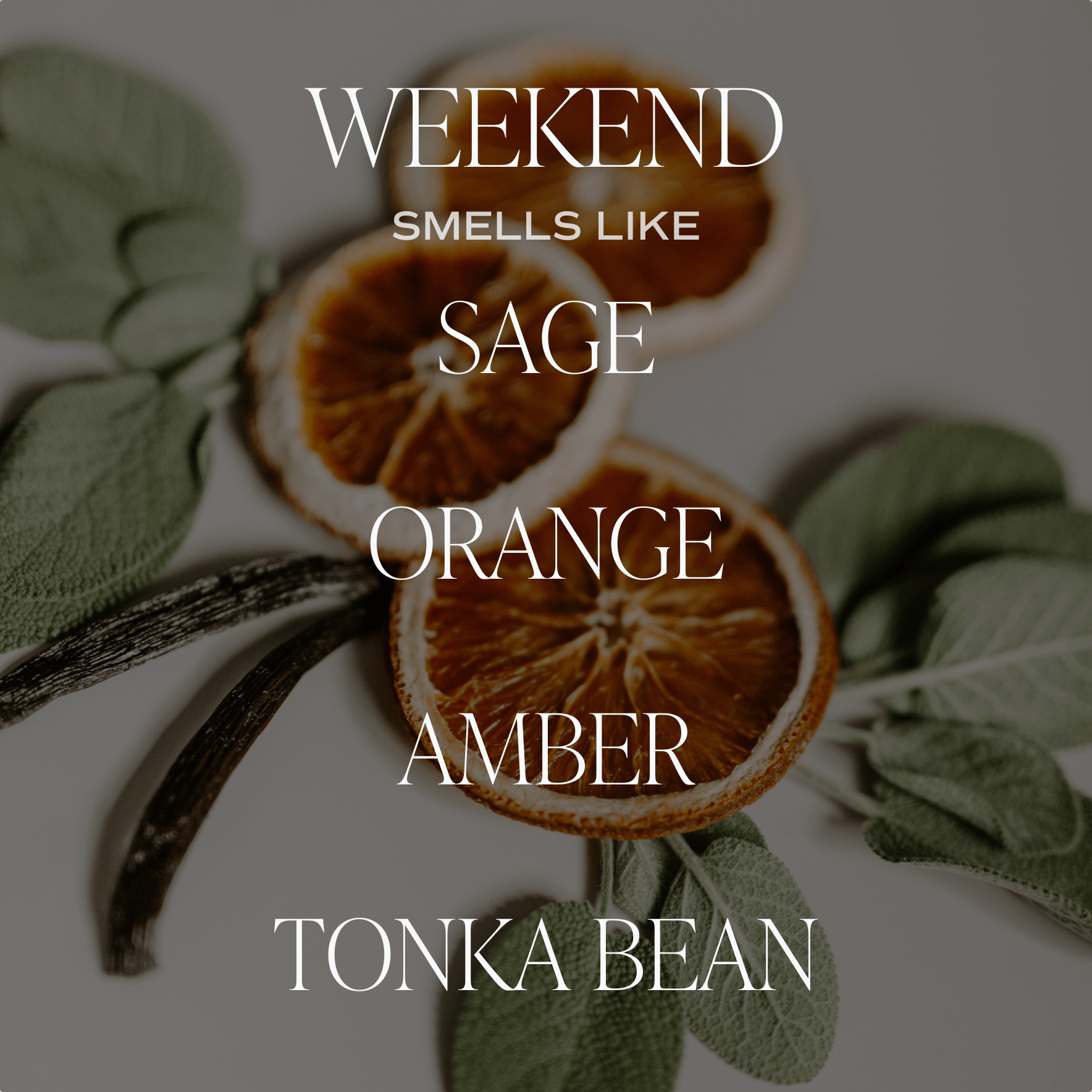 Weekend Soy Candle - Tan Matte Jar - 15 oz White Cliff Studio Candles and Candle Accessories