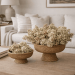 Wellfleet Woven Rattan Footed Bowl - Set of 2 White Cliff Studio Decorative Bowls