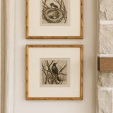 Wood Framed Wall Decor with Bird, Set of 2